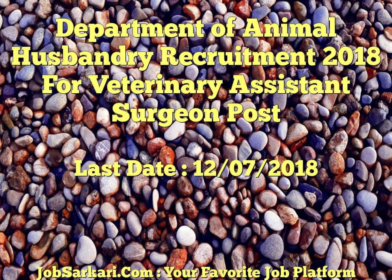 Department of Animal Husbandry Recruitment 2018 For Veterinary Assistant Surgeon Post