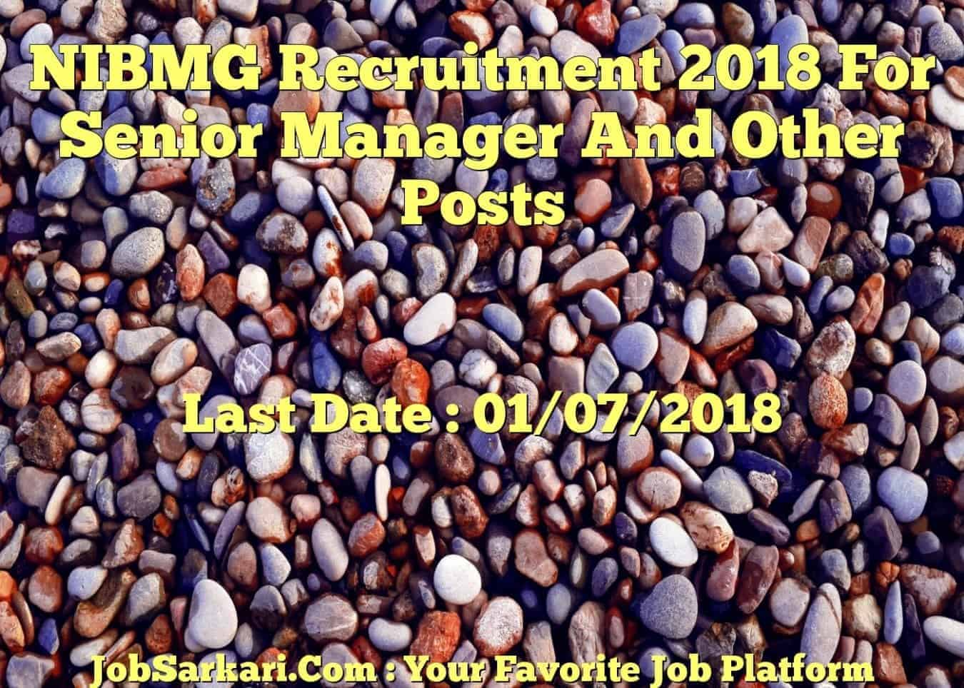NIBMG Recruitment 2018 For Senior Manager And Other Posts
