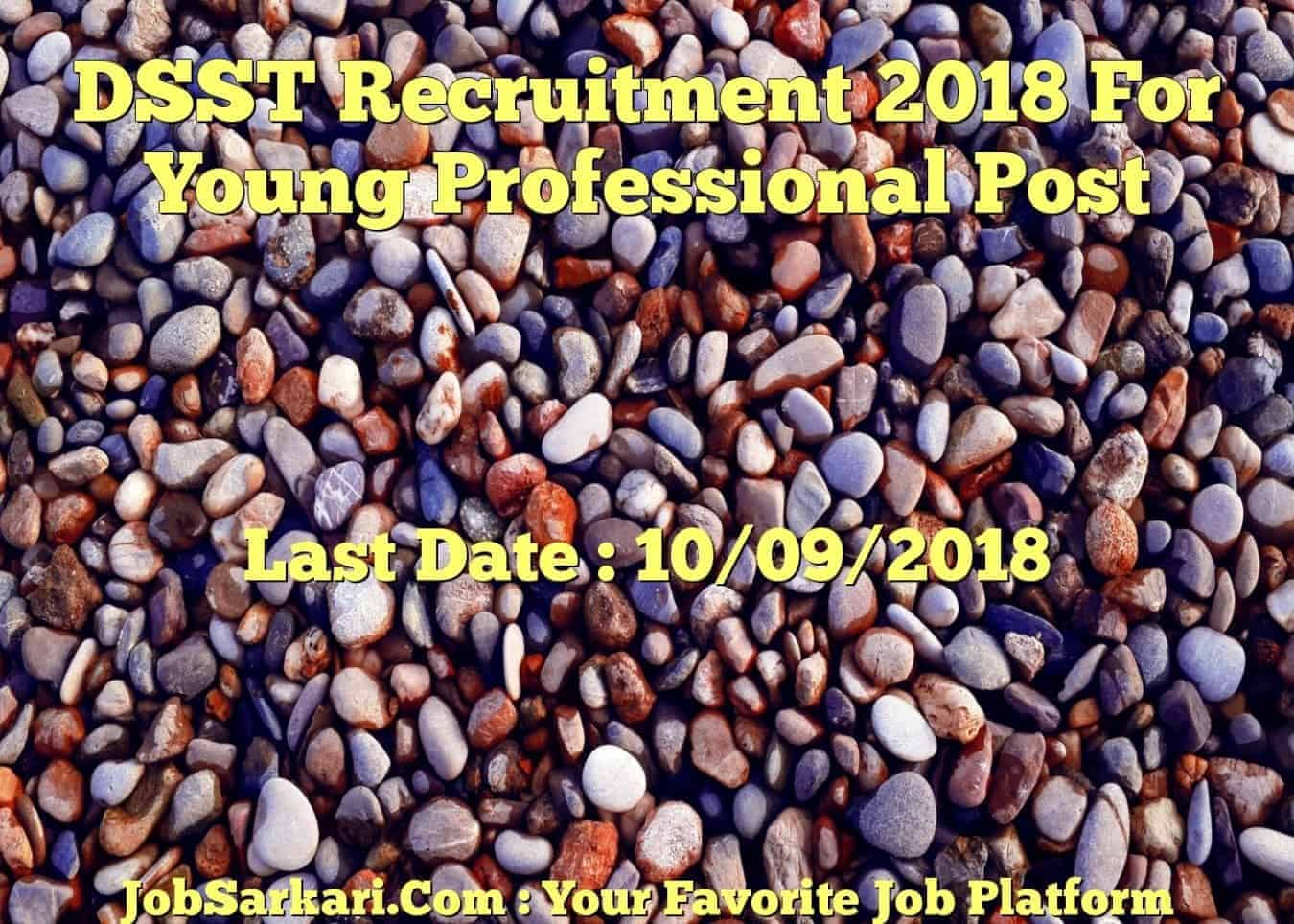 DSST Recruitment 2018 For Young Professional Post