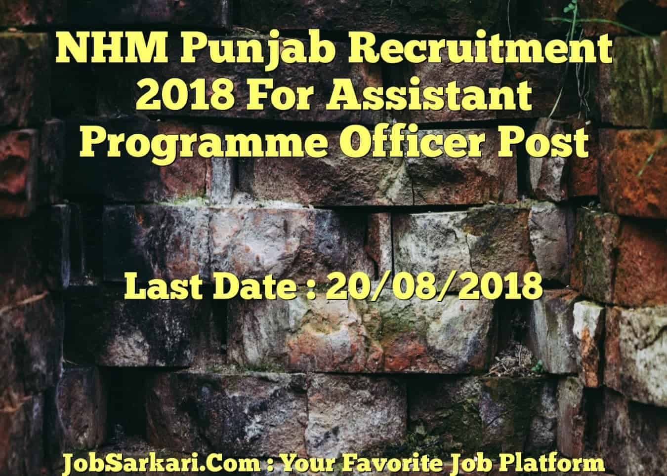 NHM Punjab Recruitment 2018 For Assistant Programme Officer Post