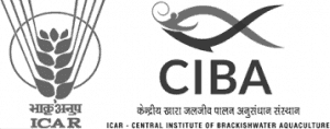 CIBA - Central Institute of Brackishwater Aquacultureसी.आई.बी.ऐ  Logo