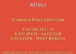 BDMO Recruitment 2018 For Various Post Govt Job