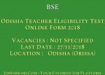 BSE Odisha Teacher Eligibility Test Online Form 2018
