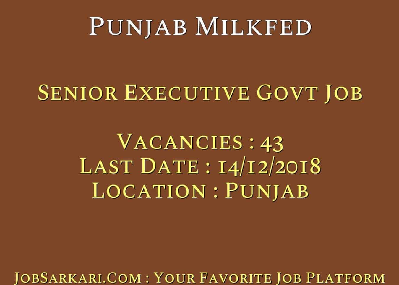 Punjab Milkfed Recruitment 2018 for Senior Executive Govt Job