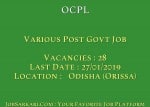 OCPL Recruitment 2019 For Various Post Govt Job