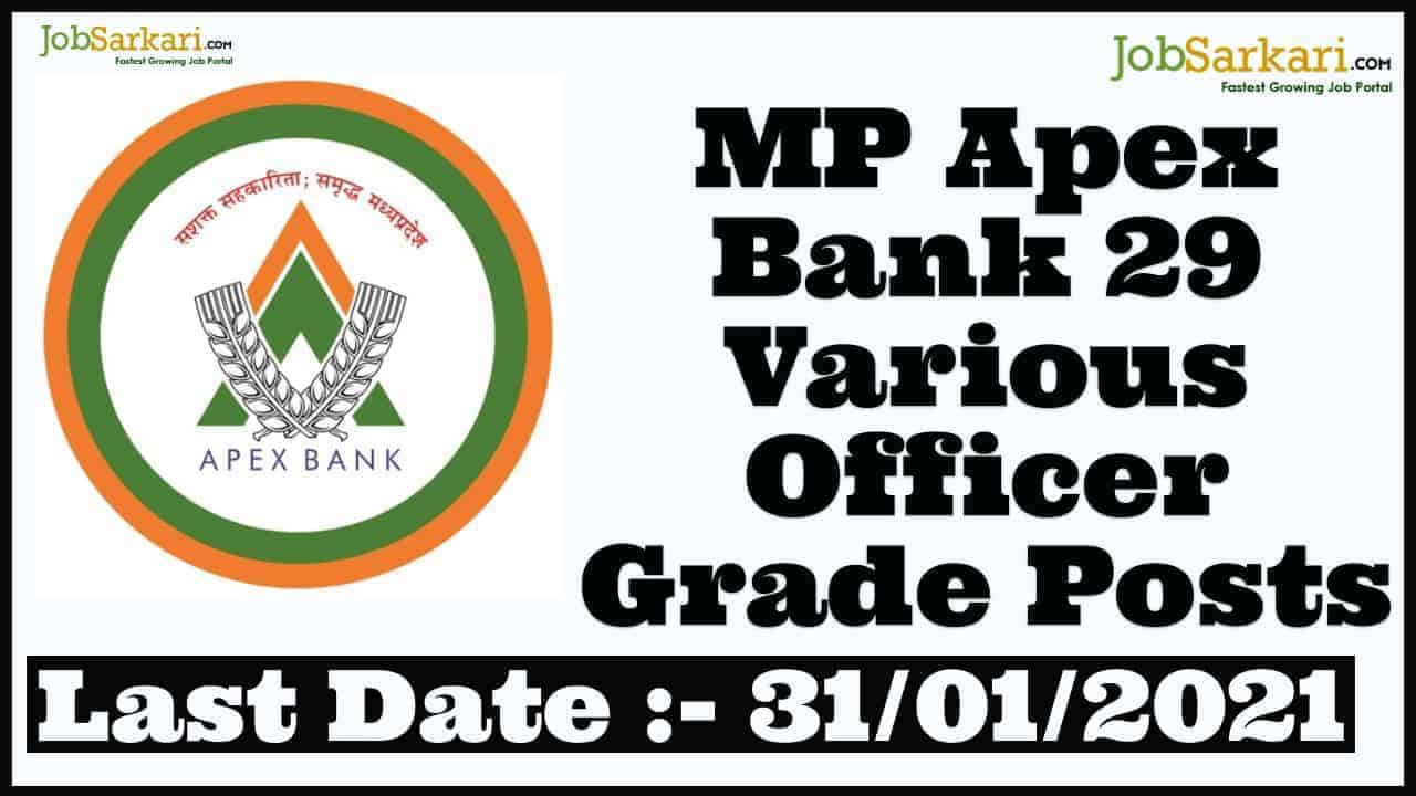 MP Apex Bank 29 Various Officer Grade Posts