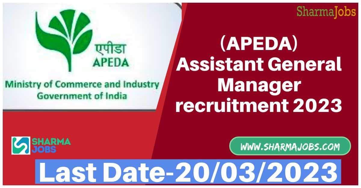 APEDA 11 Assistant General Manager Recruitment 2023
