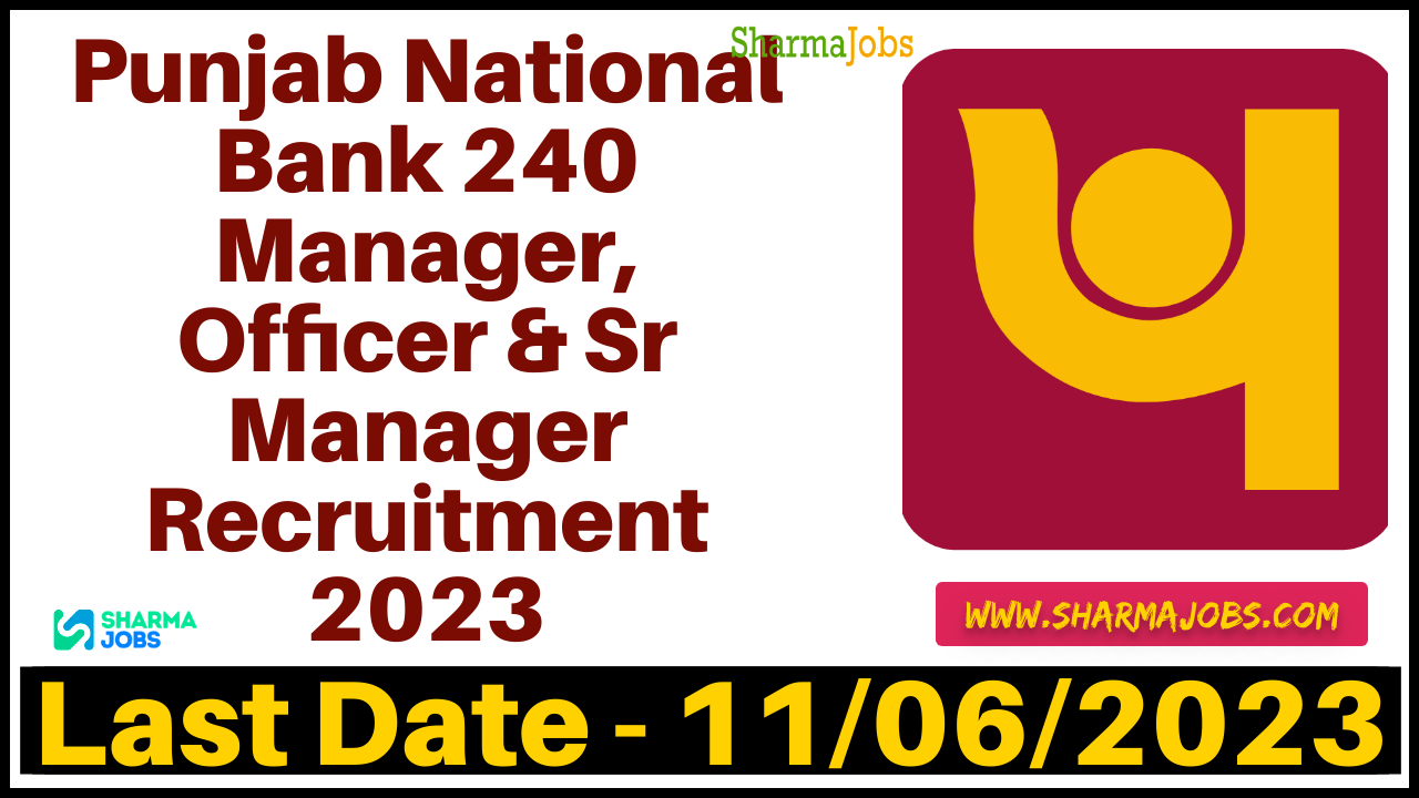 Punjab National Bank 240 Manager, Officer & Sr Manager Recruitment 2023