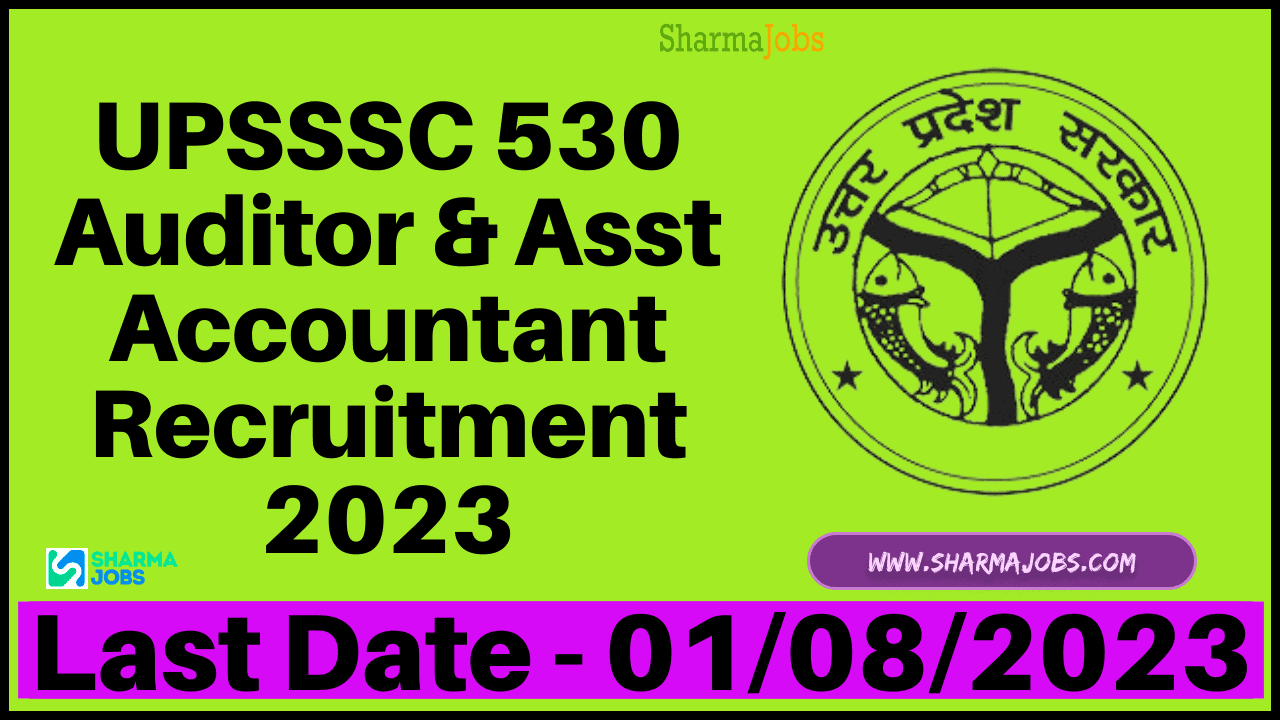 UPSSSC 530 Auditor & Asst Accountant Recruitment 2023