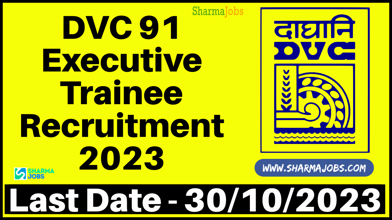 DVC 91 Executive Trainee Recruitment 2023