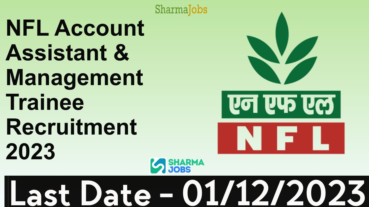 NFL Account Assistant & Management Trainee Recruitment 2023
