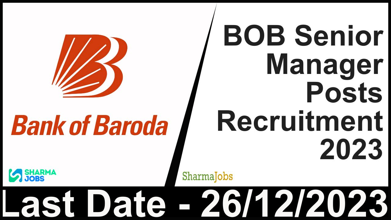 BOB Senior Manager Recruitment 2023