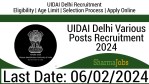 UIDAI Delhi Various Posts Recruitment 2024
