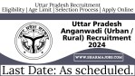 Uttar Pradesh Anganwadi (Urban / Rural) Recruitment 2024