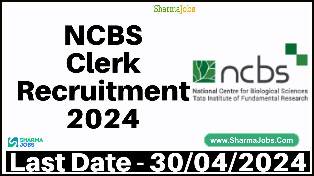 NCBS Clerk Recruitment 2024